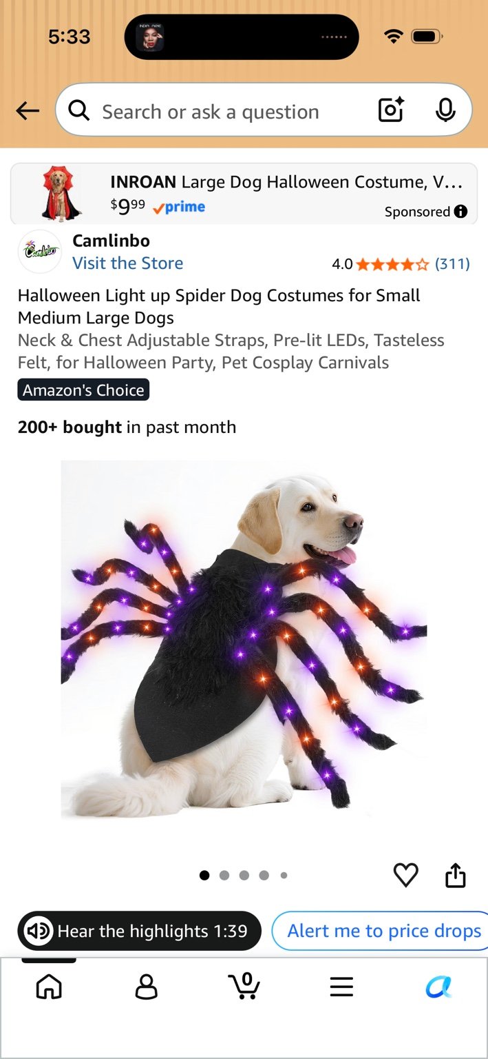 Light-Up Spider Dog Costume