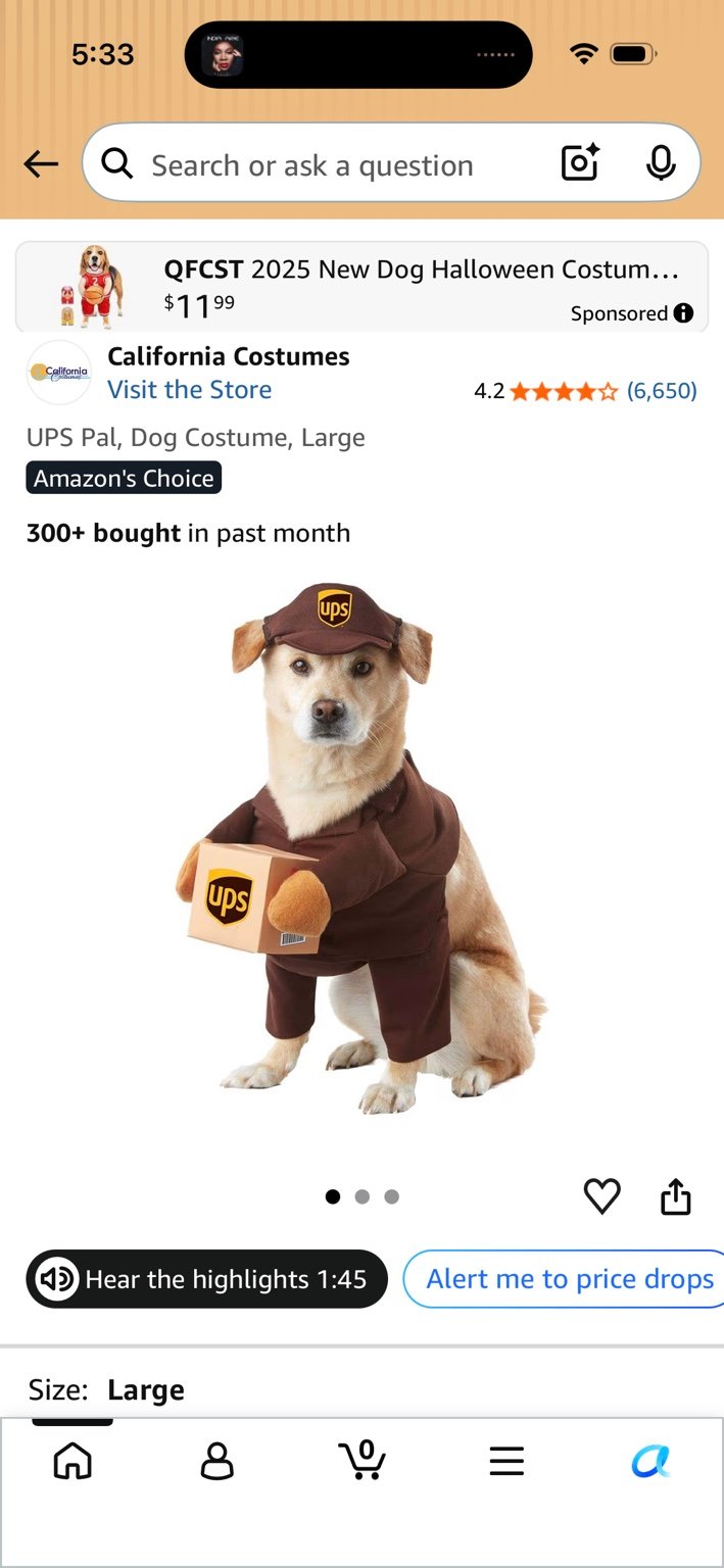 UPS Delivery Dog Costume