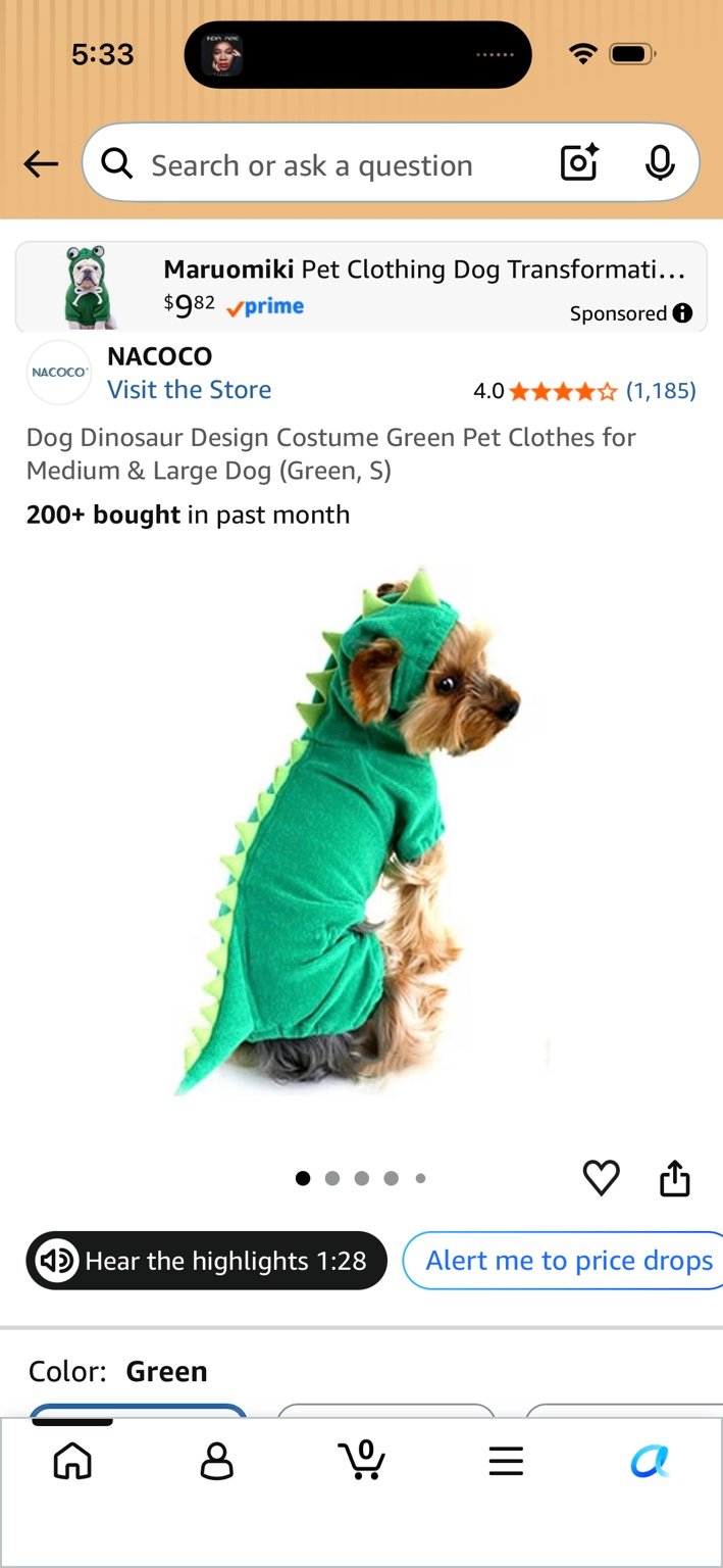 Dinosaur Dog Costume