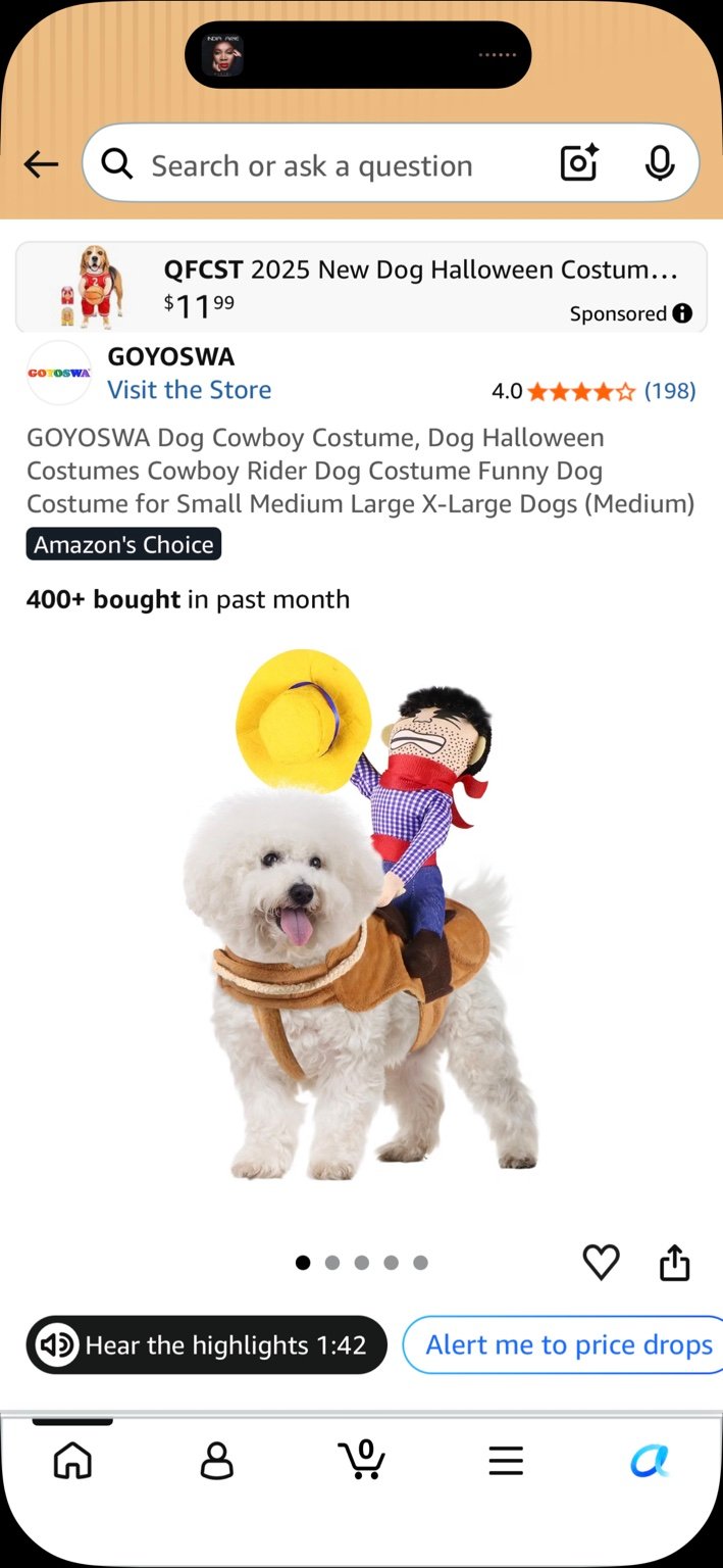 Cowboy Rider Dog Costume