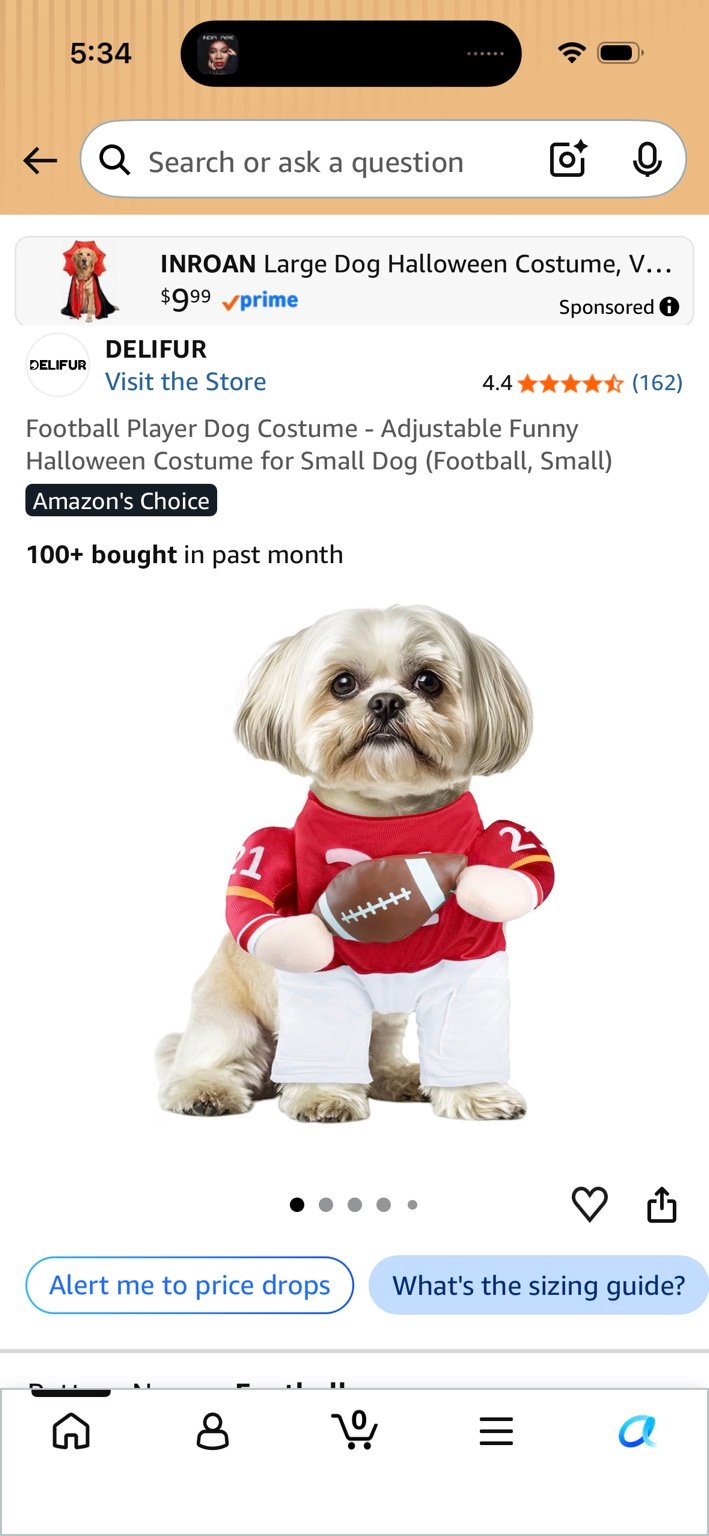Football Player Dog Costume
