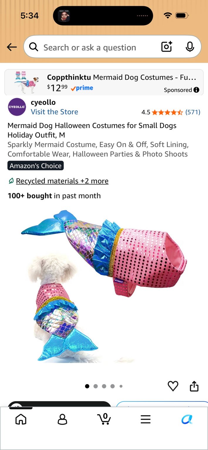Mermaid Dog Costume